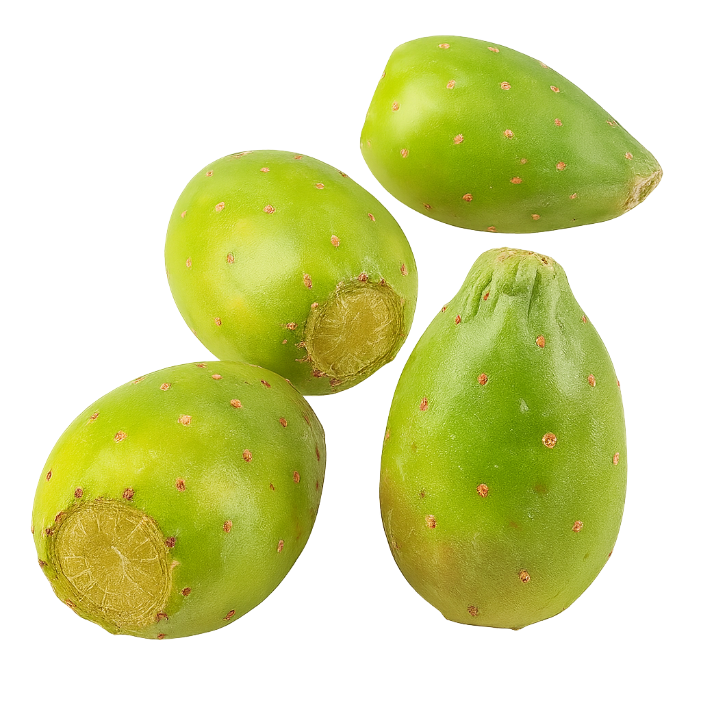 Tuna Blanca