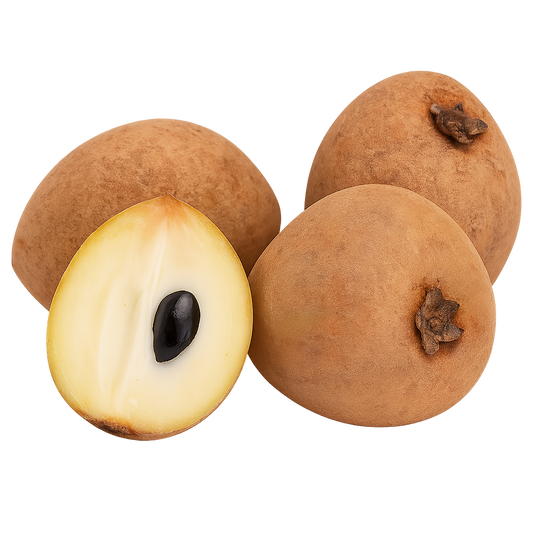 Chicozapote