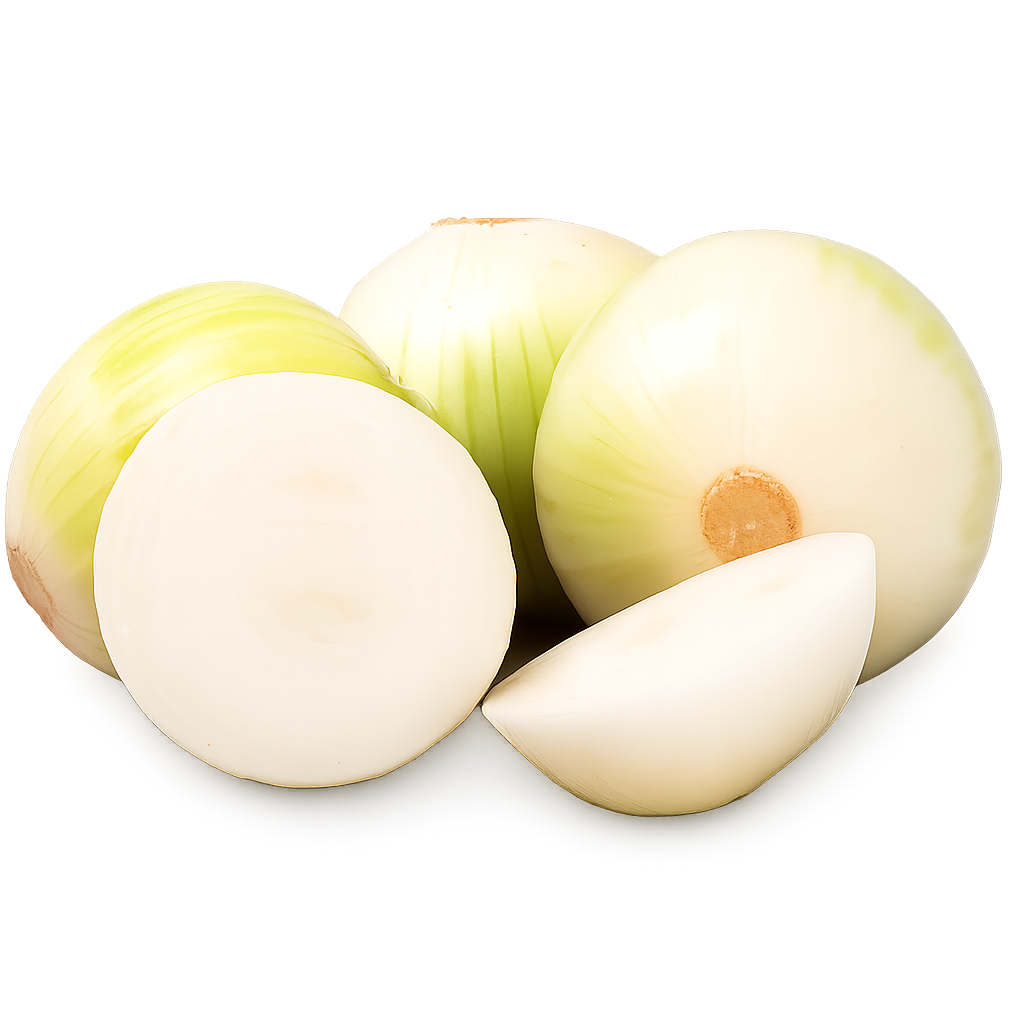 Cebolla Blanca