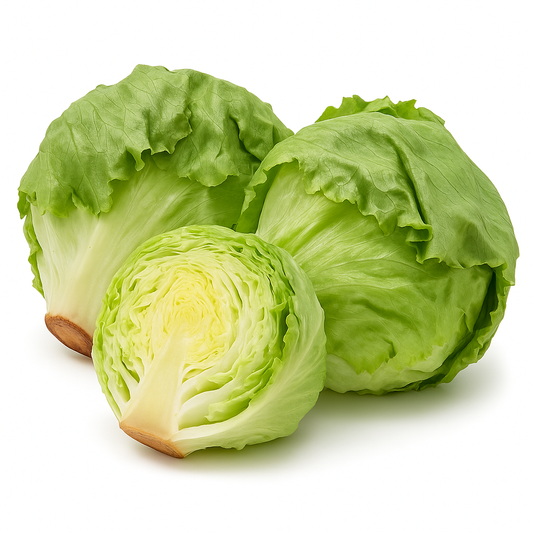 Lechuga Romana