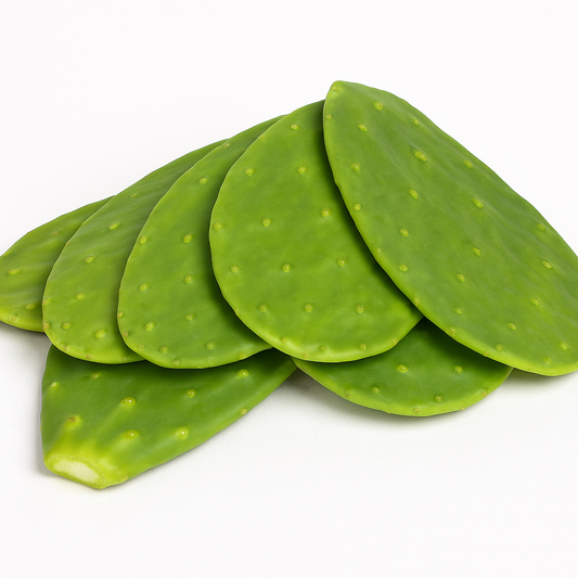 Nopal