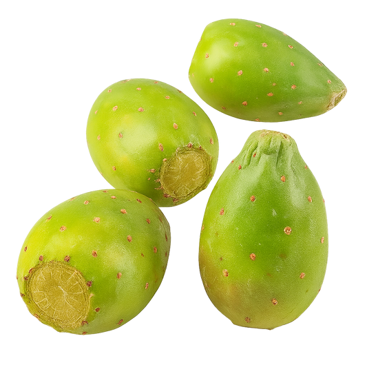 Tuna Blanca